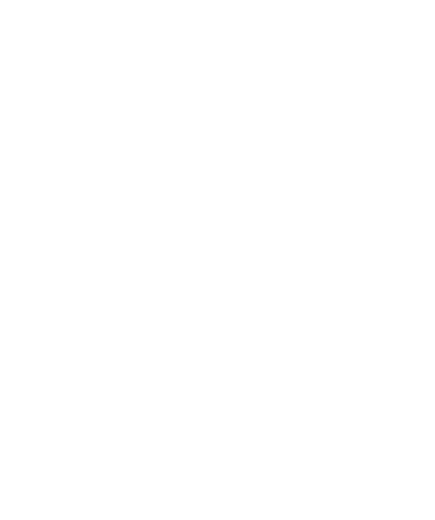 8.webp