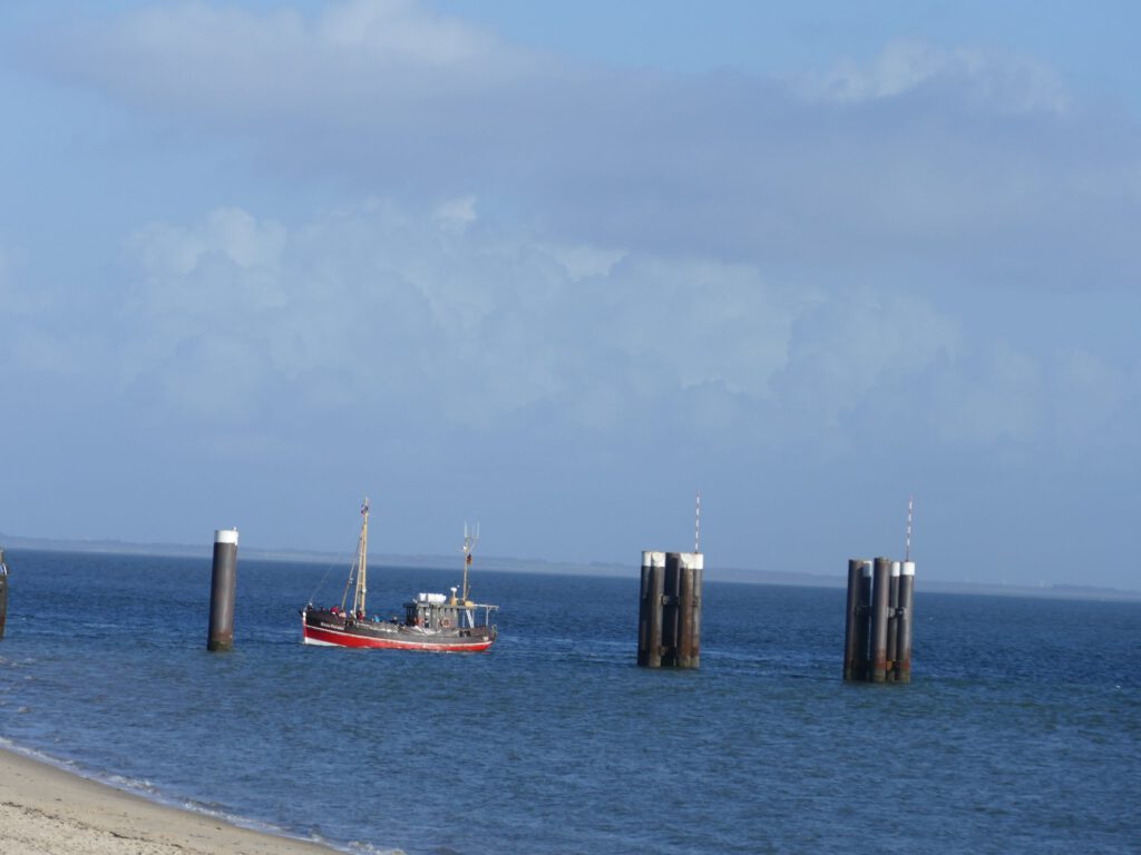 P1060811-scaled-1.jpg
