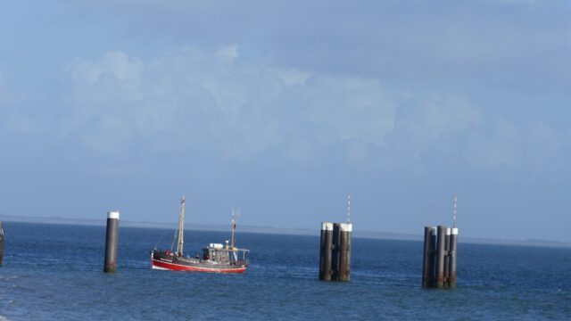 P1060811-scaled-1.jpg