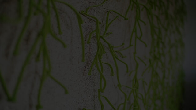 background-1.jpg