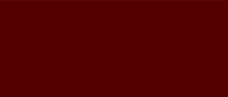 logo_bot_blank.png