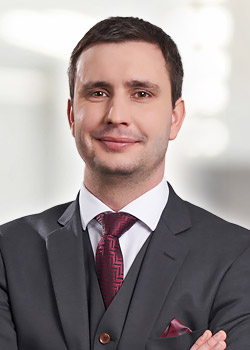 portrait_christopher-henkelmann_250x350.jpg