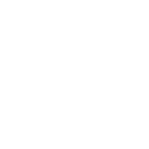 rechtsanwalt-bremen-mitte-icon-w-300×300-1.png