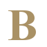 Berens-Favicon-Times-New-Roman-Bold-transparenter-Hintergrund.png