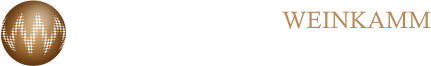logo-mauss-layout.png